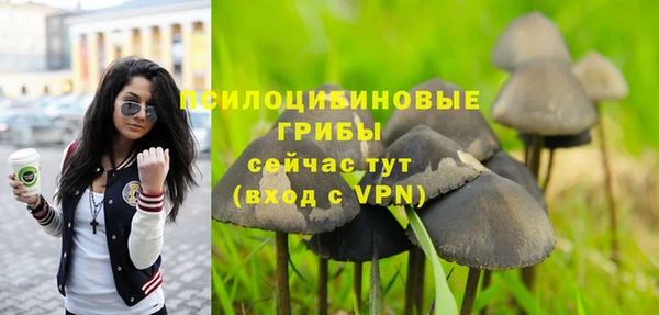 ECSTASY Богородск