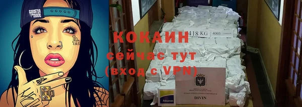 амф Пересвет