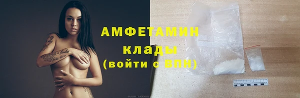 молекула духа Белоозёрский