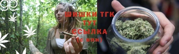 скорость Богородицк