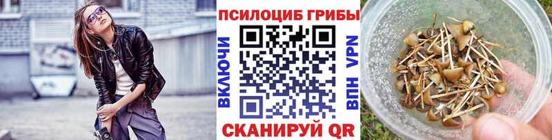 Псилоцибиновые грибы Magic Shrooms  OMG рабочий сайт  Среднеуральск 