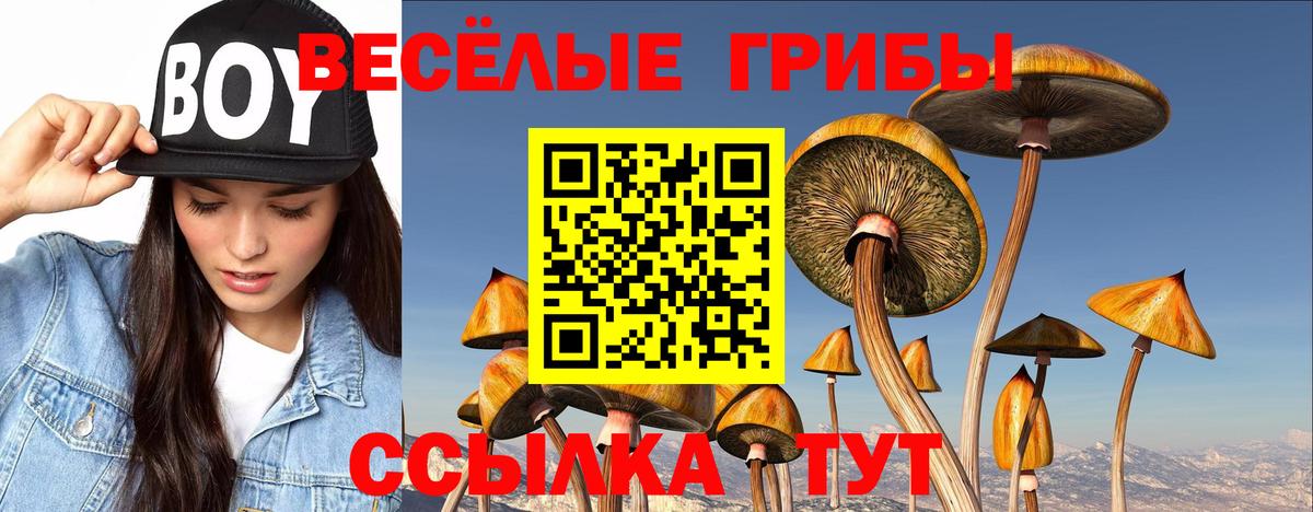 Галлюциногенные грибы MAGIC MUSHROOMS  Вход с VPN  Среднеуральск 